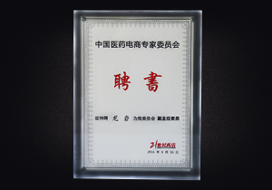 中国医药电商专家委员会 副主任委员（龙岩）